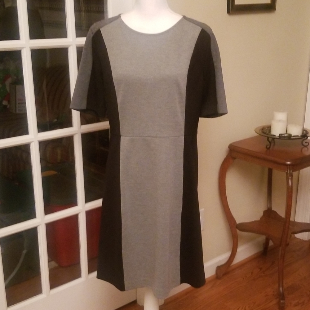 AT LOFT black and gray professional dress 10